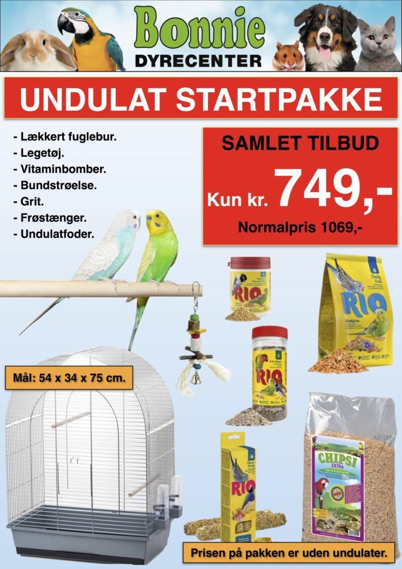 undulat startpakke